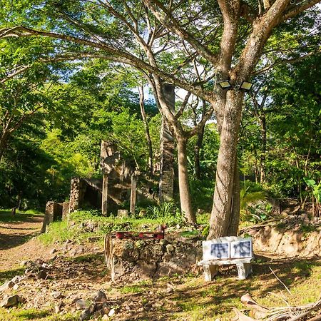 Martinique Treehouse Villa Canton Suisse Ngoại thất bức ảnh