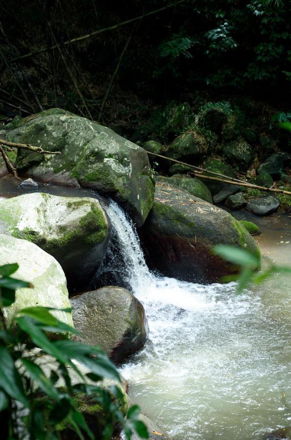 Martinique Treehouse Villa Canton Suisse Ngoại thất bức ảnh