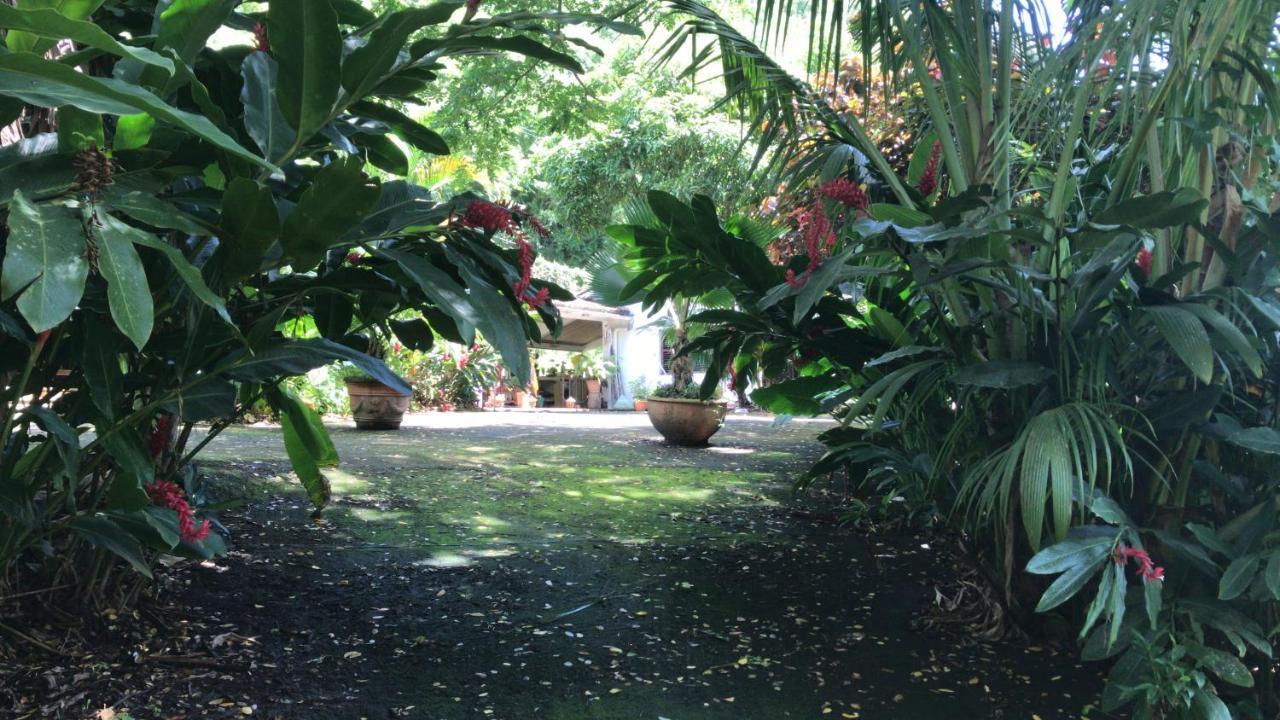 Martinique Treehouse Villa Canton Suisse Ngoại thất bức ảnh