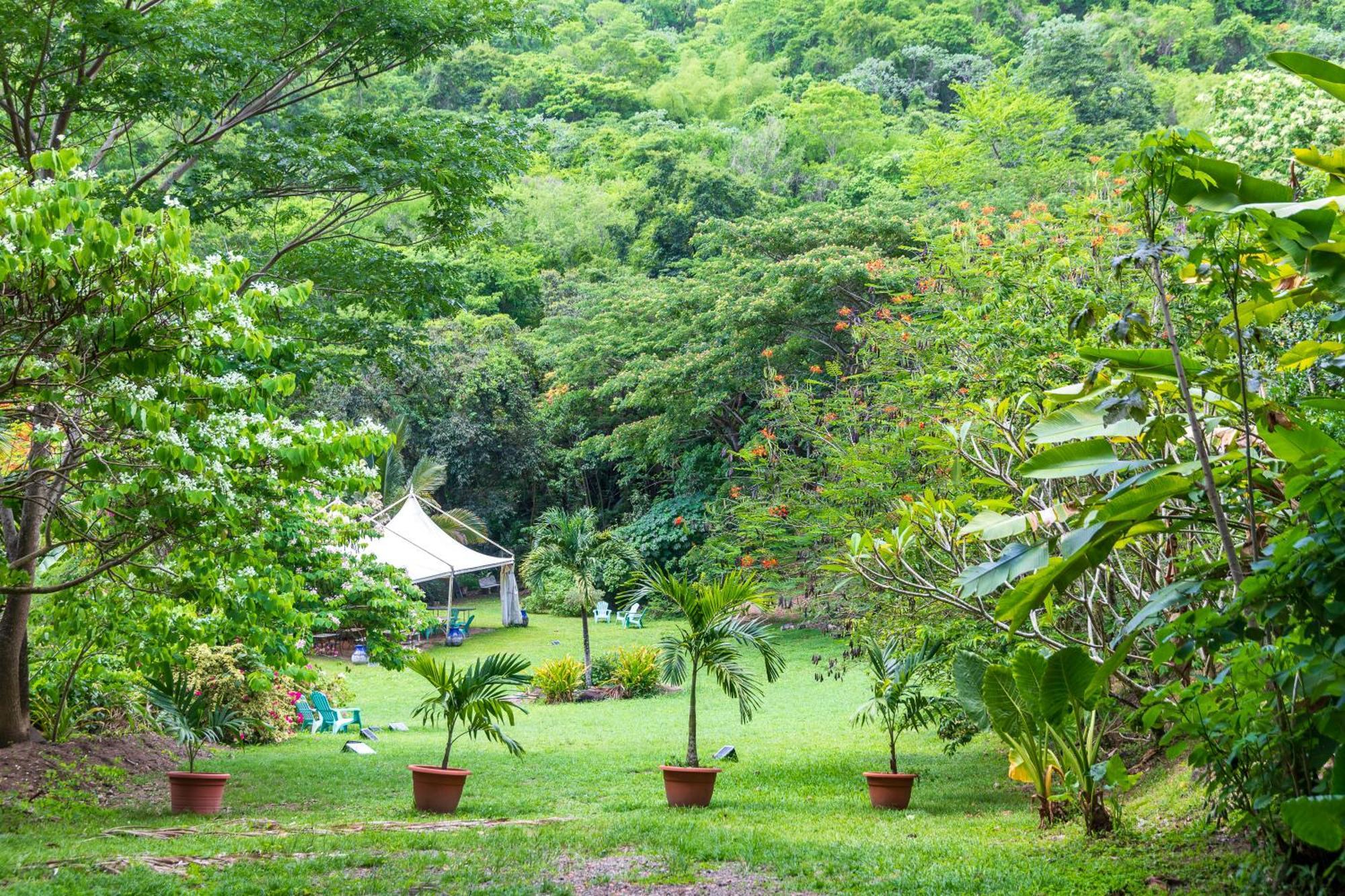 Martinique Treehouse Villa Canton Suisse Ngoại thất bức ảnh