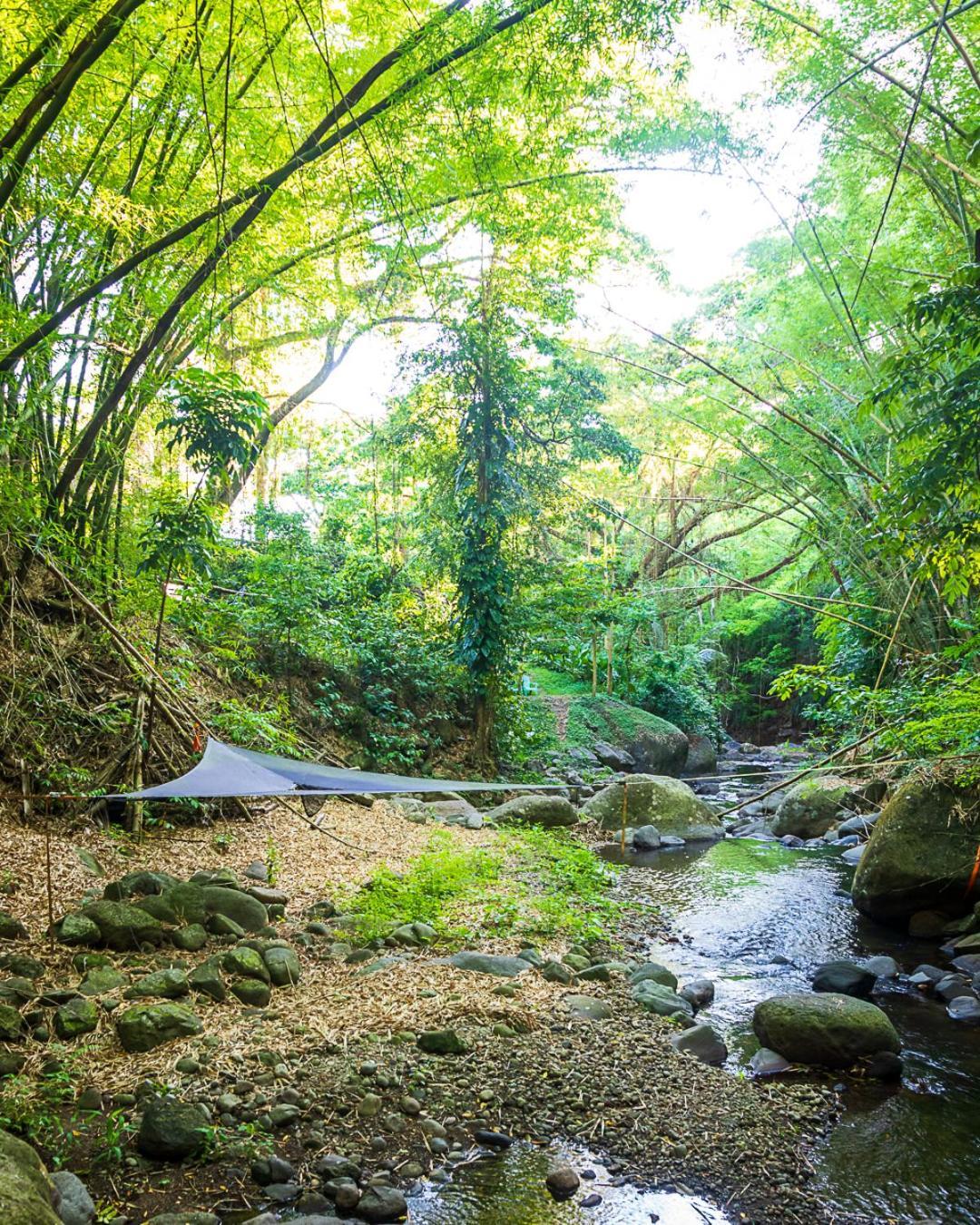 Martinique Treehouse Villa Canton Suisse Ngoại thất bức ảnh