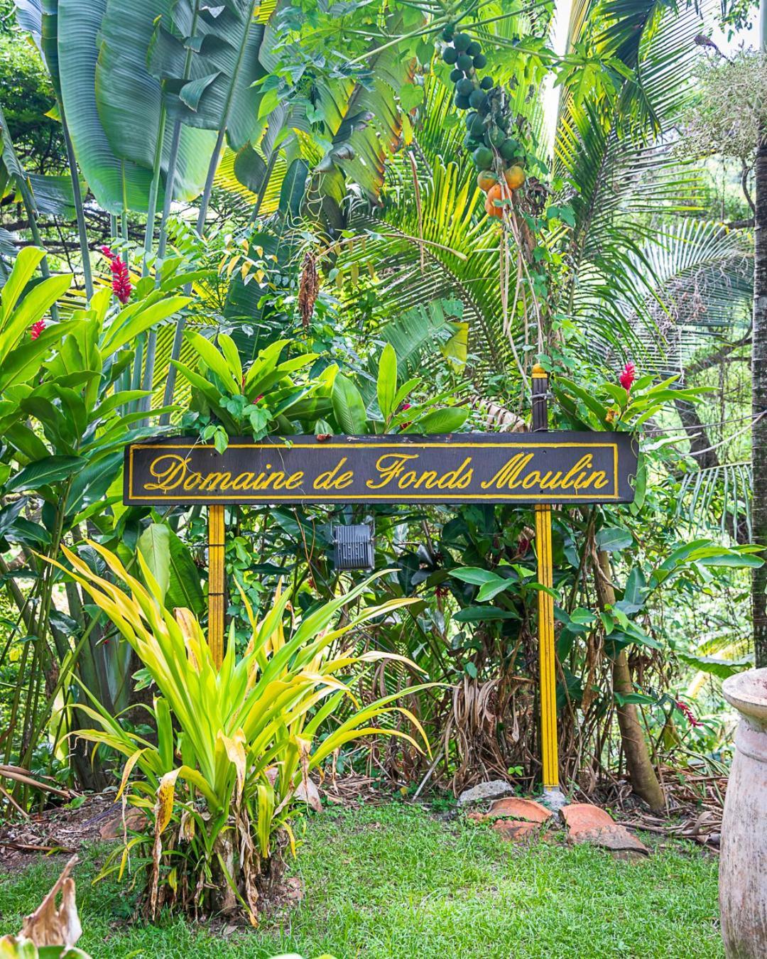 Martinique Treehouse Villa Canton Suisse Ngoại thất bức ảnh