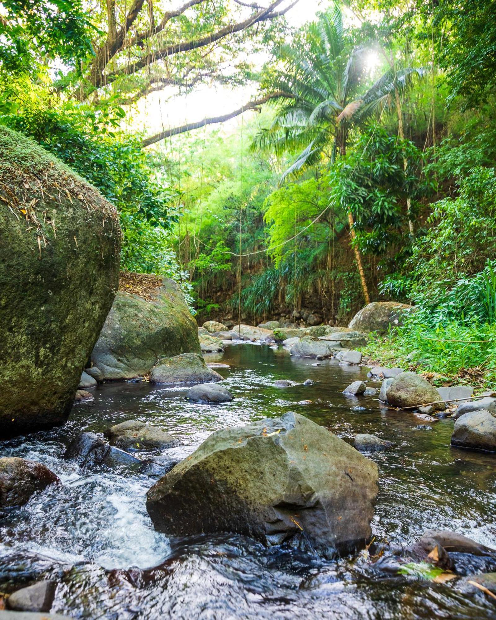 Martinique Treehouse Villa Canton Suisse Ngoại thất bức ảnh