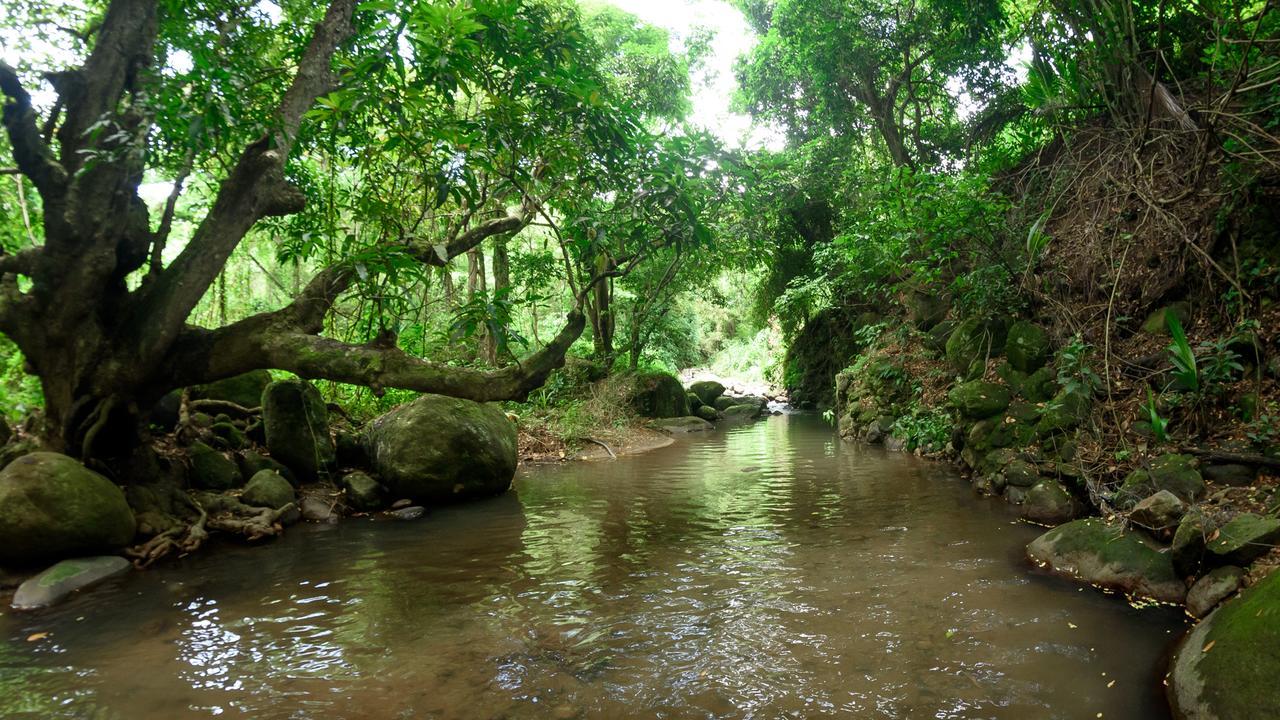 Martinique Treehouse Villa Canton Suisse Ngoại thất bức ảnh