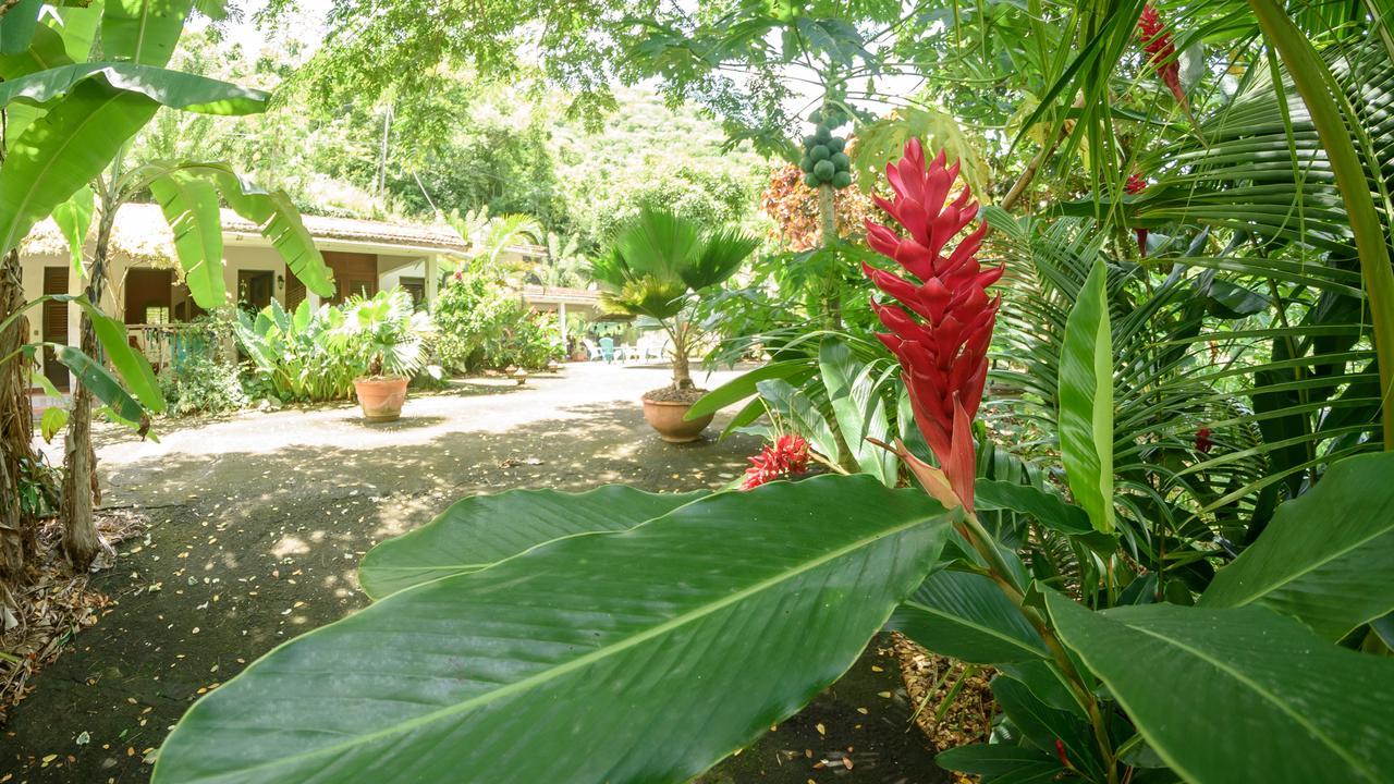 Martinique Treehouse Villa Canton Suisse Ngoại thất bức ảnh