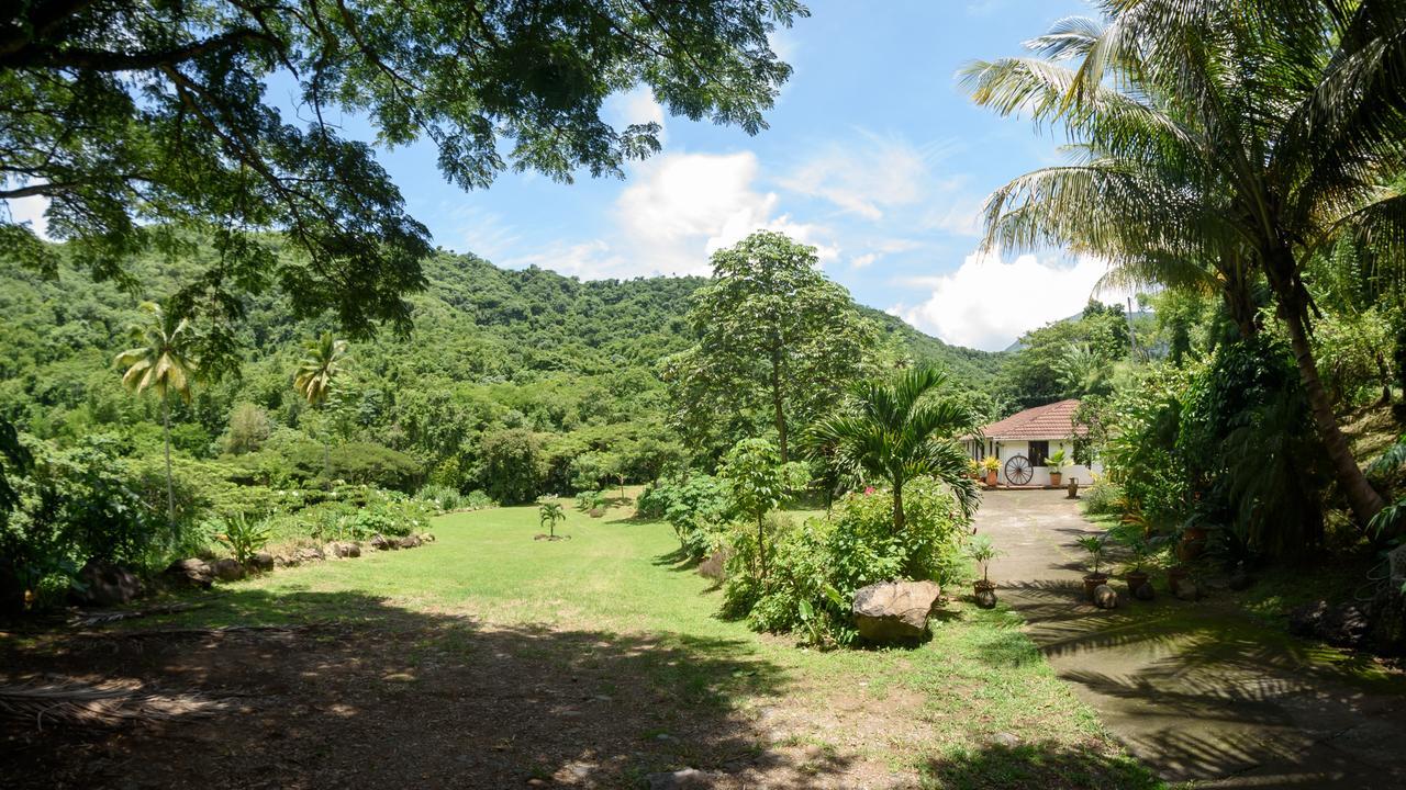 Martinique Treehouse Villa Canton Suisse Ngoại thất bức ảnh