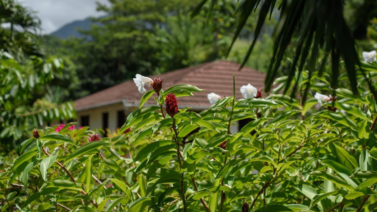 Martinique Treehouse Villa Canton Suisse Ngoại thất bức ảnh