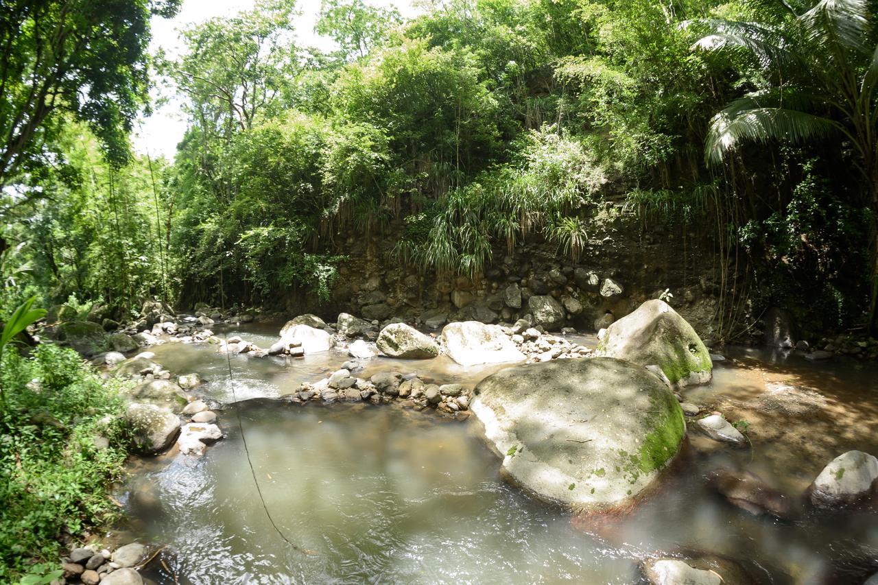 Martinique Treehouse Villa Canton Suisse Ngoại thất bức ảnh