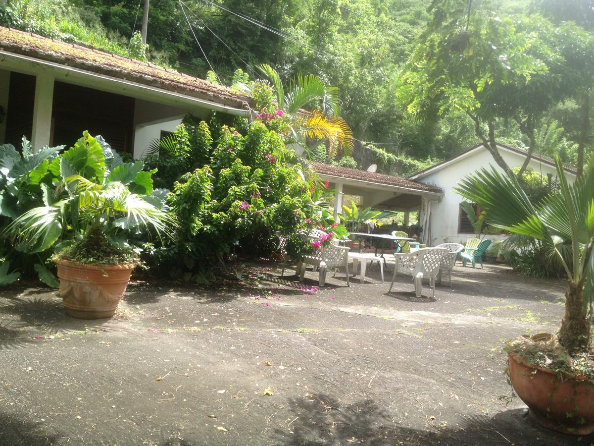 Martinique Treehouse Villa Canton Suisse Ngoại thất bức ảnh