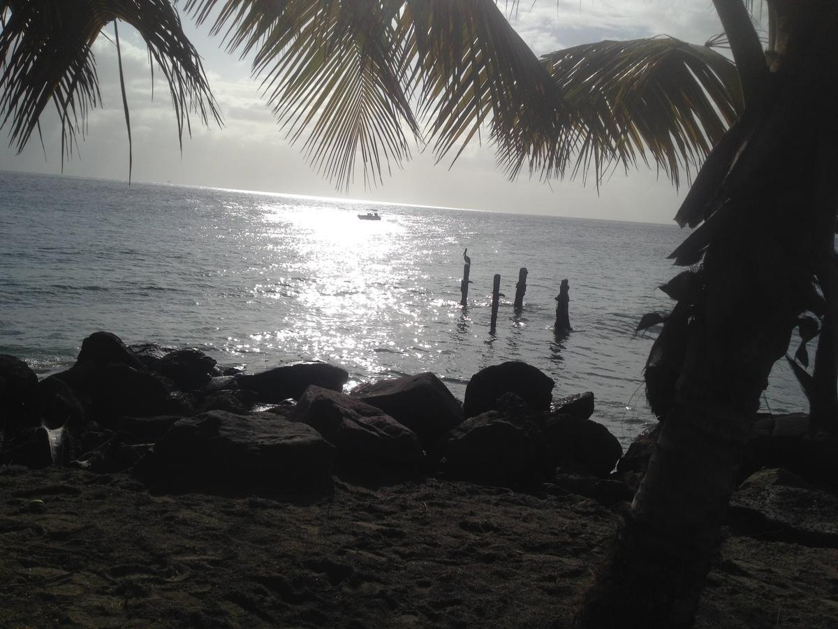 Martinique Treehouse Villa Canton Suisse Ngoại thất bức ảnh