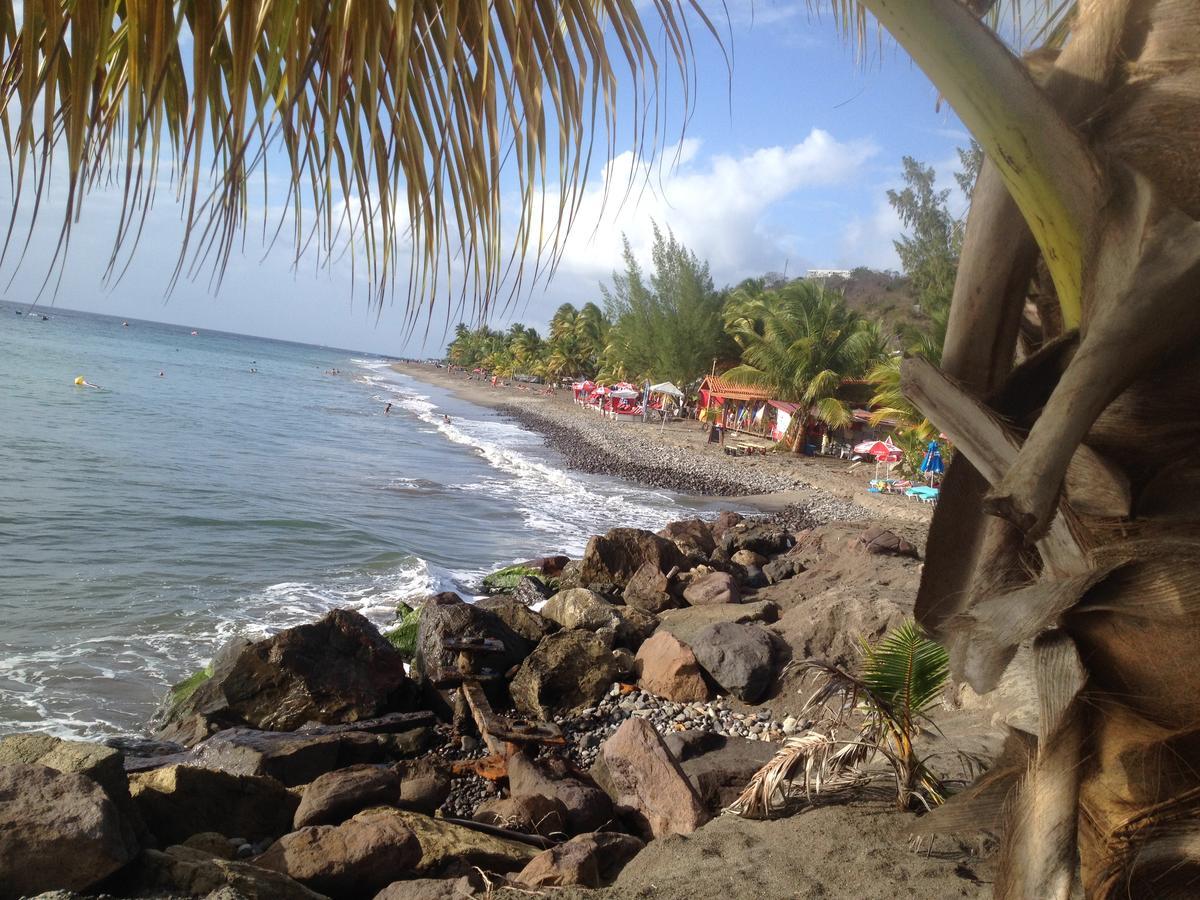 Martinique Treehouse Villa Canton Suisse Ngoại thất bức ảnh