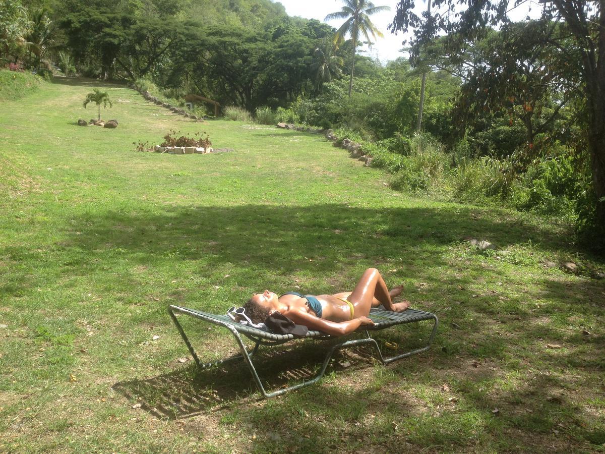 Martinique Treehouse Villa Canton Suisse Ngoại thất bức ảnh