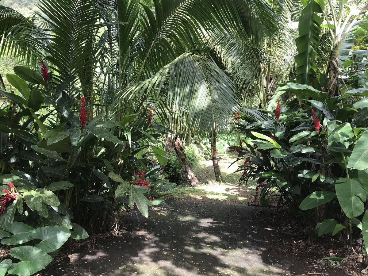 Martinique Treehouse Villa Canton Suisse Ngoại thất bức ảnh