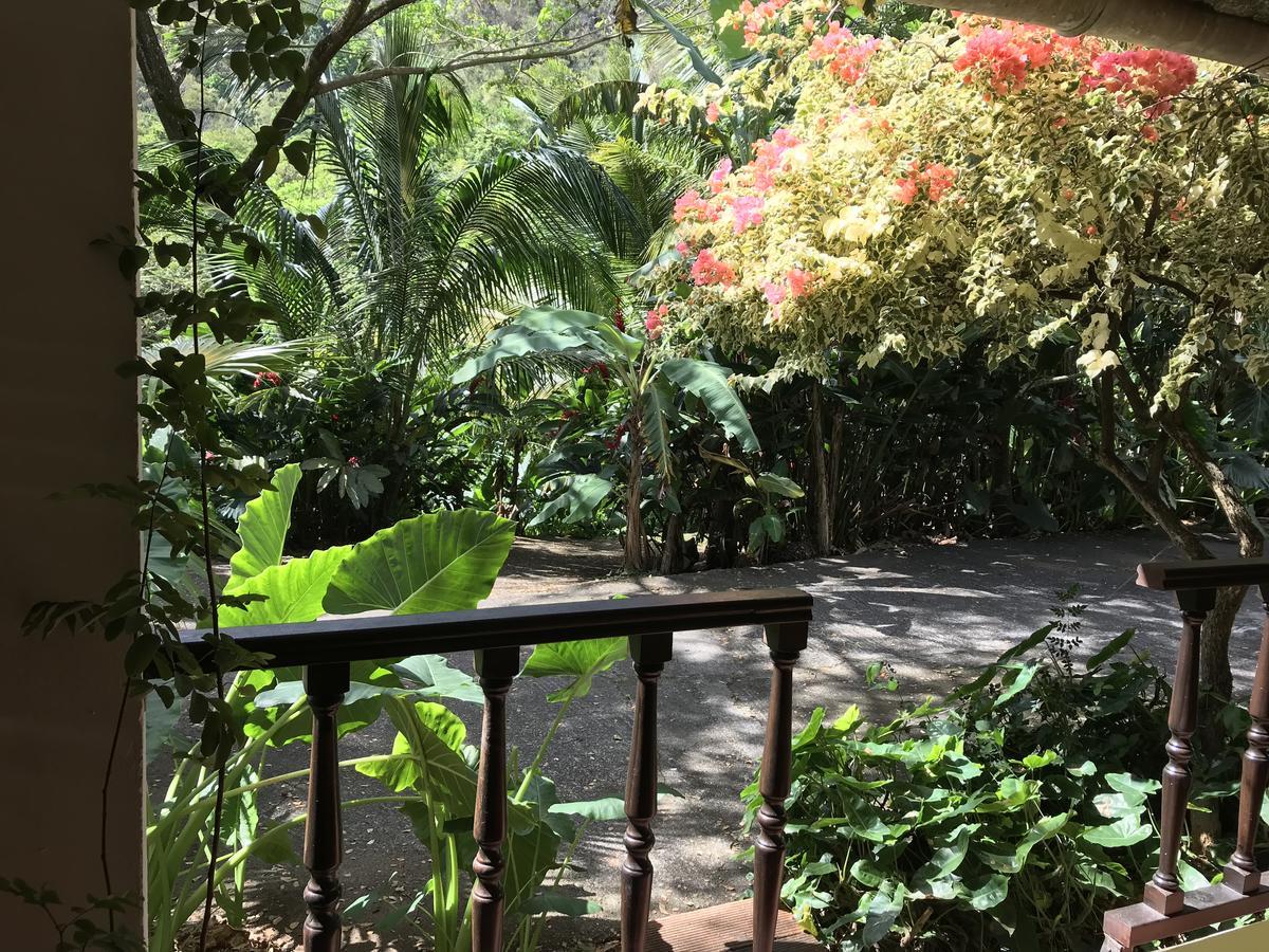 Martinique Treehouse Villa Canton Suisse Ngoại thất bức ảnh
