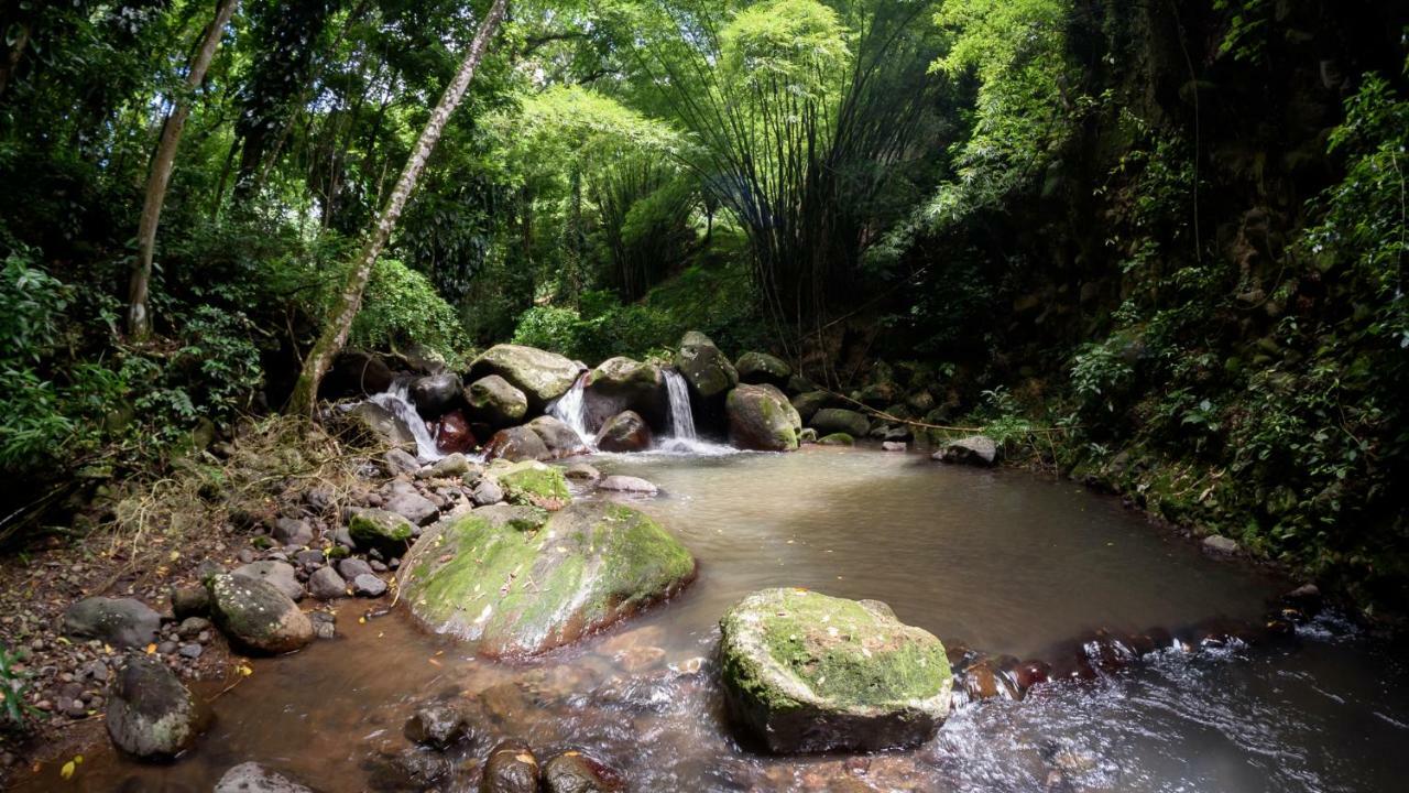 Martinique Treehouse Villa Canton Suisse Ngoại thất bức ảnh