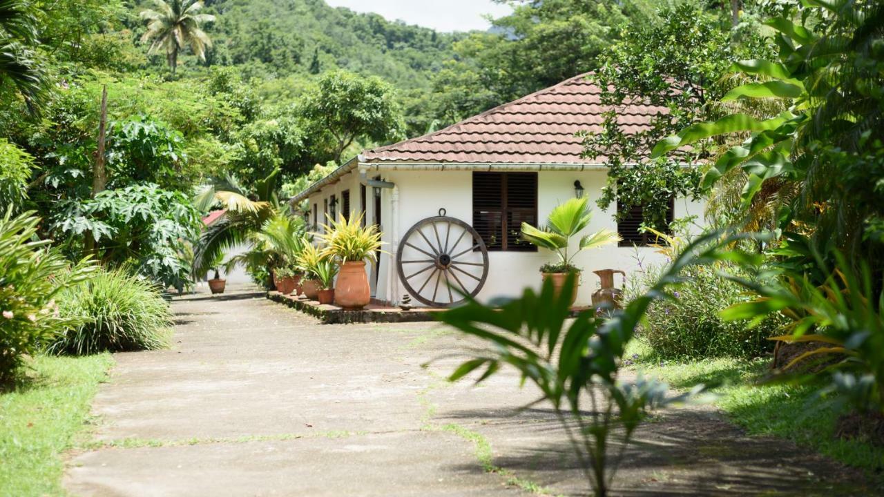 Martinique Treehouse Villa Canton Suisse Ngoại thất bức ảnh
